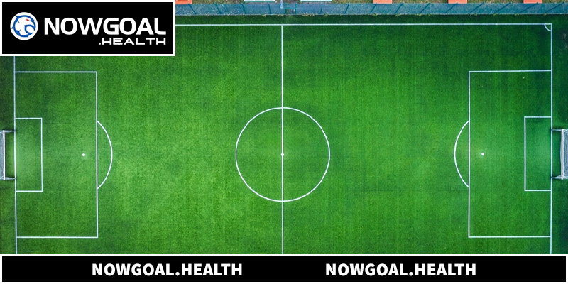 Tiêu Chuẩn Football Pitch Chuyên Nghiệp Và Ảnh Hưởng Đến Kèo Cược