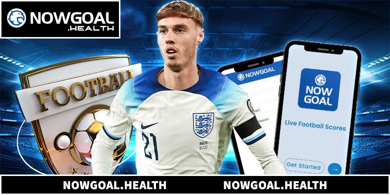 Hệ thống bảng xếp hạng và lịch thi đấu chi tiết